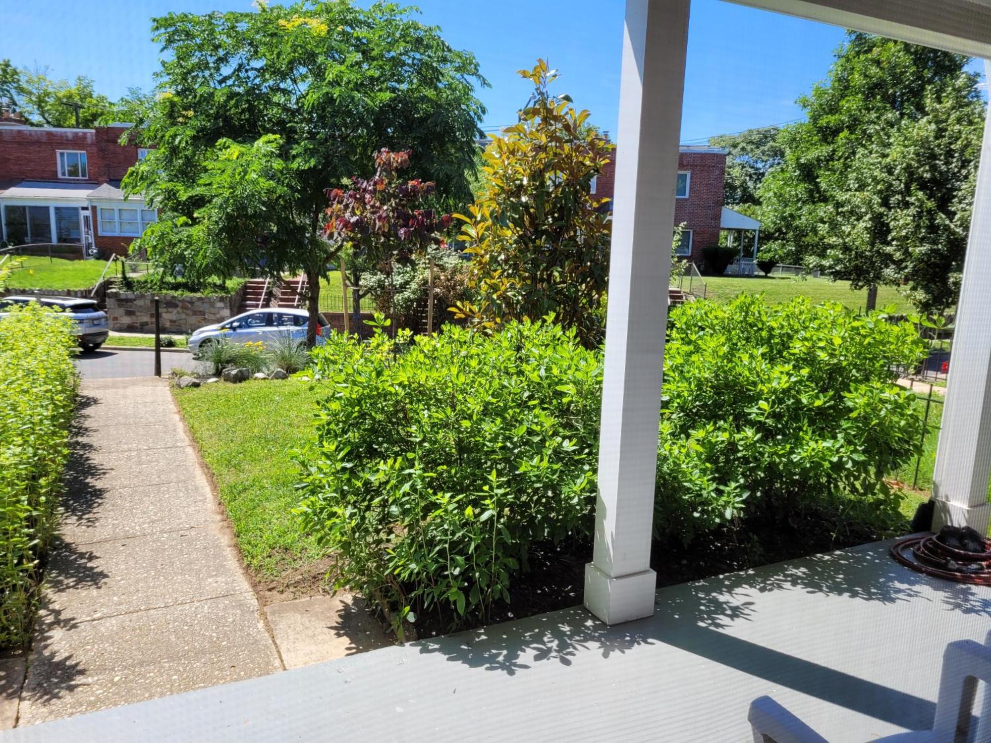 Capitol Hill Adj Home With Parking And Easy Access To Downtown Waszyngton Zewnętrze zdjęcie